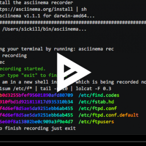 Record and share your terminal sessions, the right way.