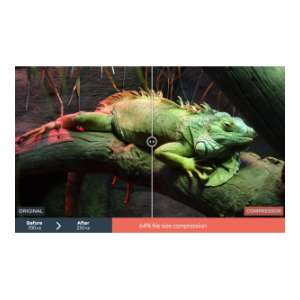 Online &sigma;&upsilon;&mu;&pi;ί&epsilon;&sigma;&eta; &alpha;&rho;&chi;&epsilon;ί&omega;&nu; &epsilon;&iota;&kappa;ό&nu;&omega;&nu; &kappa;&alpha;&iota; SVG