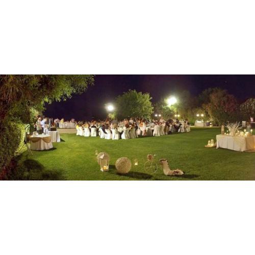 nisea the events place