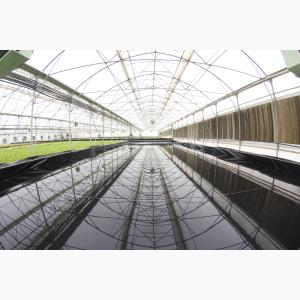 Loukfarm Hydroponic floating technology