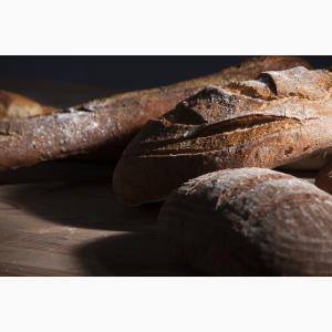 Apollonion Bakery Business Photo Shooting