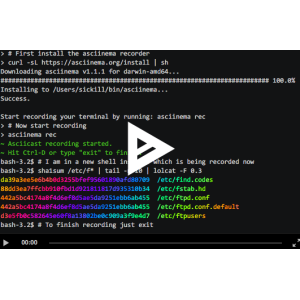 Record and share your terminal sessions, the right way.
